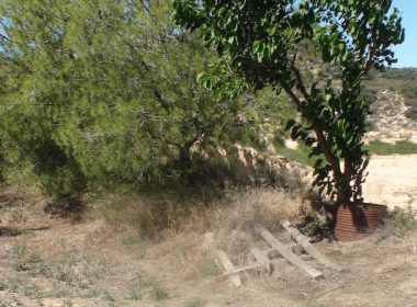 Mas 32m2 + almacén 120m2 + Corral 300m2 + jardín – Aragon Life