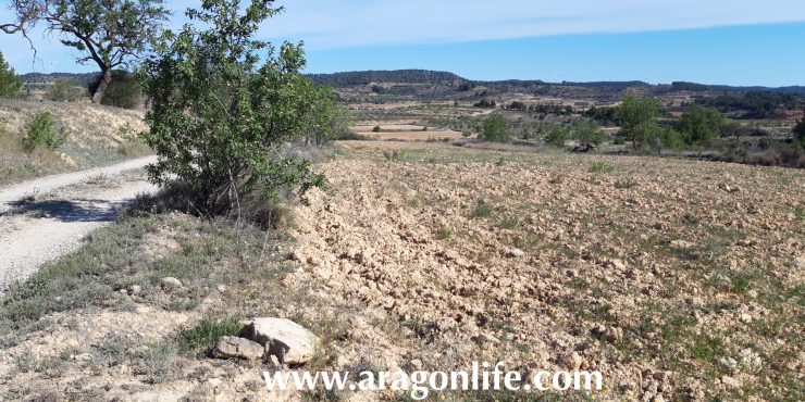 Campo de secano de 1821m2 en Gandesa. Al lado del pueblo. 6000€