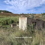 Finca de 8.490m2+ casa de 34m2. Vilalba dels Arcs (Tarragona). 26.000€