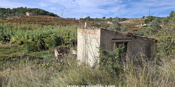 Finca de 8.490m2+ casa de 34m2. Vilalba dels Arcs (Tarragona). 26.000€