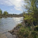 Finca de regadío con almendros de 5.569m2. Fabara. 12.000€