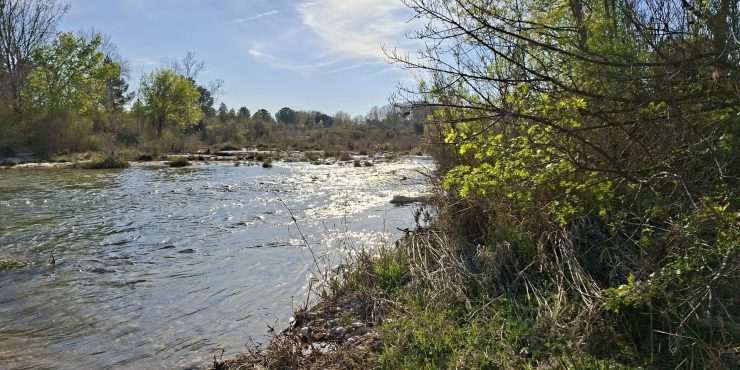 Finca de regadío con almendros de 5.569m2. Fabara. 12.000€