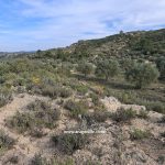 Finca de secano de 8.985m2. Maella (Aragón). 6.000€