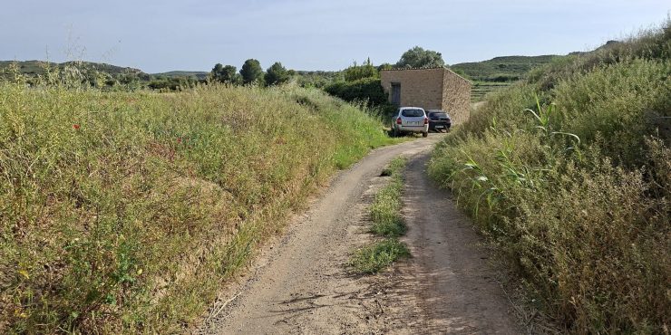 Finca de regadío de 25.868m2 + edificio de 56m2. Caspe. 46.000€