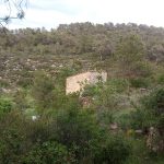 Finca de 7 Ha. con agua. 2 construcciones de 20 y 50m2. Vilalba dels Arcs (Tarragona). 40.000€