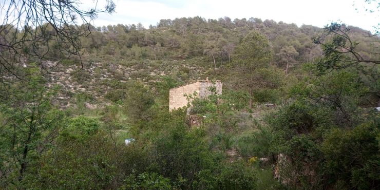 Finca de 7 Ha. con agua. 2 construcciones de 20 y 50m2. Vilalba dels Arcs (Tarragona). 40.000€