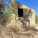 Finca de secano, de almendros, de 110.200m2 + mas de 78m2. Maella. 47.000€