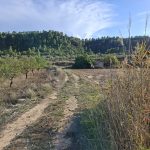 Finca con agua + casita de 46m2. 28.691m2. Maella. 27.000€