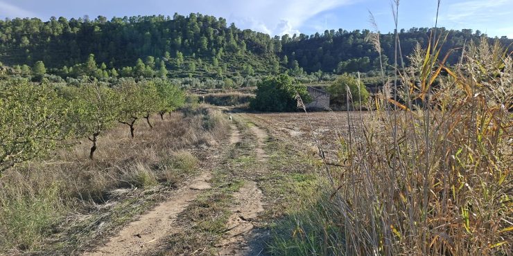 Finca con agua + casita de 46m2. 28.691m2. Maella. 27.000€