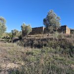 Finca de regadío de 13.510m2 + edificio de 100m2. Fabara. 15.000€