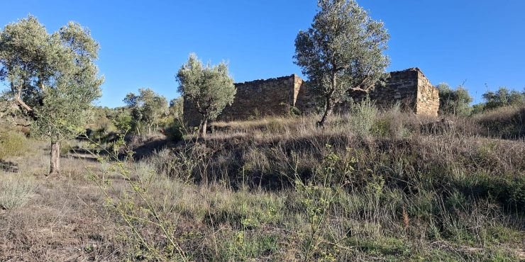 Finca de regadío de 13.510m2 + edificio de 100m2. Fabara. 15.000€